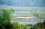 Reisfelder bei Mai Chau westlich von Hanoi. Bild vom Dia. Aufnahme: Januar 2001.
