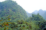 Cuc Phuong-Nationalpark bei Tam Coc südlich von Hanoi. Bild vom Dia. Aufnahme: Januar 2001.