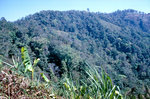 Mae Yom National Park in Thailand. Bild vom Dia. Aufnahme: Februar 1989.