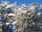 Winter 2009   ...