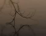 Die N�chte werden zur ...  Jens F. 24.03.2009