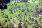Obstbaumlandschaft unterhalb des Albtraufes, Blick vom Gelben Felsen des Teckberges. ...