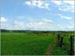Diese Aussicht kann man ...  De Rond Hans und Jeanny 19.05.2009
