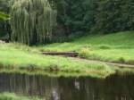 Rhein-Neckar-Kreis Br�cke an der Murg