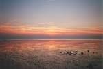 Sonnenunterg�nge Sonnenuntergang bei Dorum