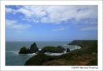 Cornwall Asparagus Island - Vorgelagerte Inseln bei Kynance Cove, Cornwall England