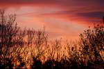 Oberbayern Diesen wundersch�nen Sonnenuntergang gab es in M�nchen am 06.05.2009 zu sehen.