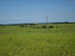 Inseln R�gen und Hiddensee Feldlandschaft bei Bergen/R�gen.