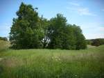 Inseln R�gen und Hiddensee Ein sch�ner Sonntagsausflug auf R�gen.