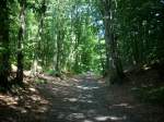 Inseln R�gen und Hiddensee Wanderweg durch den Rugard in Bergen/R�gen.