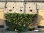 Allgemein begr�nte Schuppenwand in Kallinchen