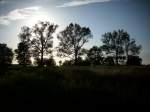 Inseln R�gen und Hiddensee Sonnenuntergangsstimmung bei Bergen/R�gen.