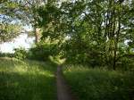 Inseln R�gen und Hiddensee Die ehmalige Kleinbahntrasse bei Bergen/R�gen ist Heute ein sch�ner Wanderweg.Manchmal glaubt man die Kleinbahn noch zu h�ren.