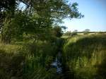 Inseln R�gen und Hiddensee Auch das ist R�gen`s`Landschaft.Aufgenommen bei Bergen/R�gen.