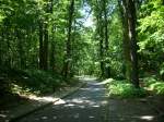 Inseln R�gen und Hiddensee Sie tr�gt zu Recht den Namen die Waldstra�e in Bergen/R�gen.