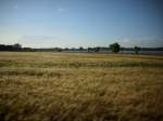 Inseln R�gen und Hiddensee Feldlandschaft und vom Weiten der Nonnensee bei Bergen/R�gen.