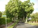 Inseln R�gen und Hiddensee Stra�e zum Rugard in Bergen/R�gen.