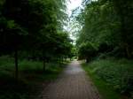 Inseln R�gen und Hiddensee Waldweg mitten in Bergen/R�gen.