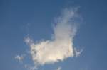 Wolken Kaum eine Materie hat so eine vielf�ltige und schnell wechselnde Form wie Wolken, einfach faszinierend... Von dieser hier kann sich jeder selbst ein Bild machen.