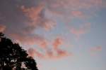 Wolken Rosarote Wolken am Abend des 13.06.09