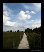 Der Weg ist das ...  Marina Frintrop 22.08.2009