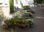 Stadtverband Auf diesem Foto sind die Sommerblumen aus Saarbr�cken zu sehen.