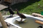 Die wohl am h�chsten ...  Pascal O. 29.08.2009