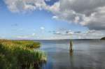 Inseln R�gen und Hiddensee Am Grossen Jasmunder Bodden am 30.08.09
