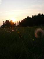 Sonnenuntergang am Ahornberg/B�rnau, 22.09.2009   ...