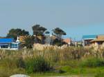 In Kleinmond sind die ...  Beat H. Schweizer 18.10.2009