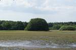 An der Th�lsfelder Talsperre im Juni 2009  ...