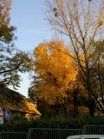 der Winter kommt n�her ...  Maik Leiter 05.11.2009