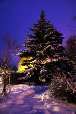 Winterimpression aus der D�bener ...  Martin Schneider 10.01.2010