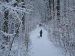 Spaziergang durch den Winterwald ...  Michael Schwenke 26.01.2010