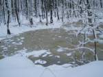 Ein zugefrorener Teich bei ...  Michael Schwenke 26.01.2010