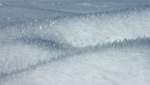 Von Wind und K�lte ...  Christine Wohlfahrt 28.01.2010