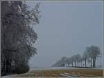 Winterimpression im Norden von ...  De Rond Hans und Jeanny 29.01.2010
