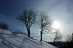 Die Wintersonne vermag sich nur z�gerlich gegen die Wolken durchzusetzen.
(20.01.2010) ...