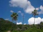 Seychellen - ...  Arnd Heise 27.02.2010