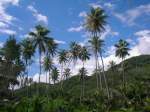Seychellen - ...  Arnd Heise 27.02.2010