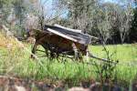 auf dem Weg zur Fonte Ben�mola bei Queren�a (Loul�/Algarve), 13.02.2010
 ...
