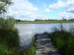 Wurzacher Ried,
herrliches Naturschutz-und Wandergebiet in Oberschwaben,
Aug.2008