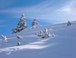 Rheintal, Bodensee Warth-Schr�cken / Vorarlberg - Skifahren Fasching 2010 - 

'Traumhafte Winterlandschaft'