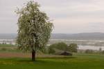 Bodensee Fr�hlingshafter Blick vom Seer�cken zwischen T�gerwilen und Triboltingen auf Untersee, Insel Reichenau, Gnadensee und Bodanr�ck (26.04.2009)
