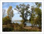 D�sseldorf Rheinufer in D�sseldorf-L�rick (Oktober 2009)