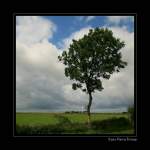 Landschaft in der N�he ...  Marina Frintrop 21.03.2010
