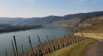 Mittelrheintal Blick �ber den Rhein und die Weinberge bei Boppart.
(18.03.2010)