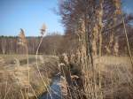 Inseln R�gen und Hiddensee Wieder lassen sich unz�hlige Fotomotive entdecken.