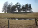 Inseln R�gen und Hiddensee Auf einem Feld auf R�gen.