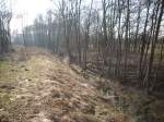 Inseln R�gen und Hiddensee Alles erweckt wieder aus dem Winterschlaf und die Sonne scheint immer kr�ftiger.